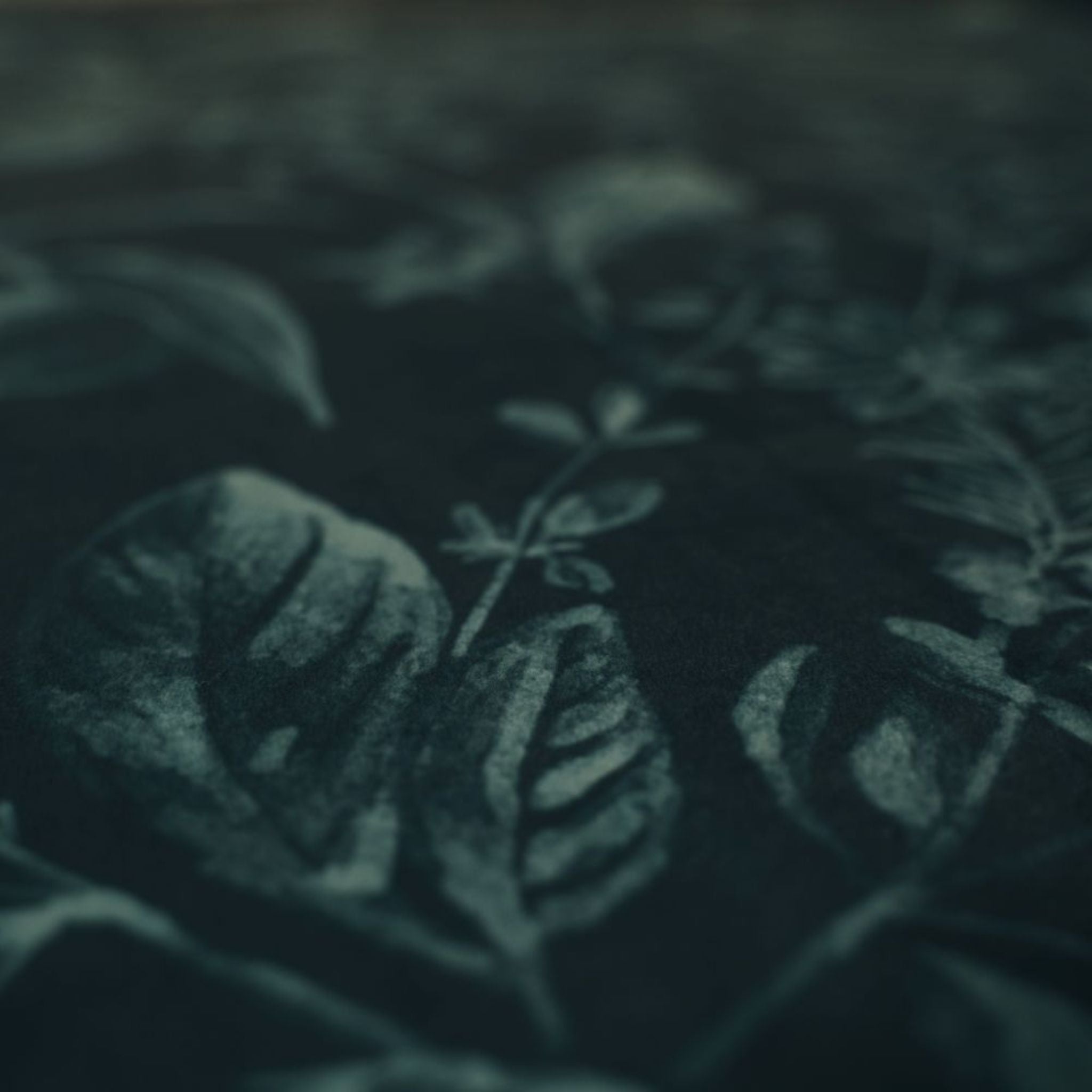 A photo of the Seasons Greetings Velvet Evergreen fabric with a floral pattern