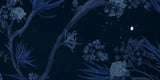 Silhouettes of plants and a spider on a dark blue background with stars.